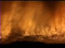 Biomasse e solare a Rende - parte 3/4