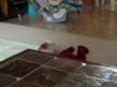 Reehan playing peek a boo