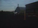 Jumping 1m20 (4ft) Bareback And Bridless