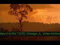 Amazon Basin