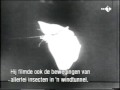 Historic footage of Erich von Holst ornithopters (flapping-wing aircraft) constructed in the 1930s. Also includes slow motion footage of bird flight and Holst's unusual