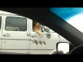 Dog Just Cruisin And Chillin - animals, chilling, cruising, dog, pets, funny