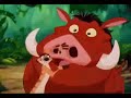 hakuna matata – lion king