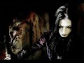Mondsucht - Nachtfalter Mondsucht - Nachtfalter