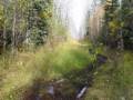 videos de 2008 Alberta Moose hunt