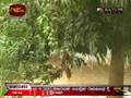 3 more villages in Kilinochchi Captured by SLA. Wanni Operation 27 th October 2008