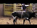 Reality Ranch, Sankey Bull Riding School Reality Ranch, Sankey Bull Riding School
