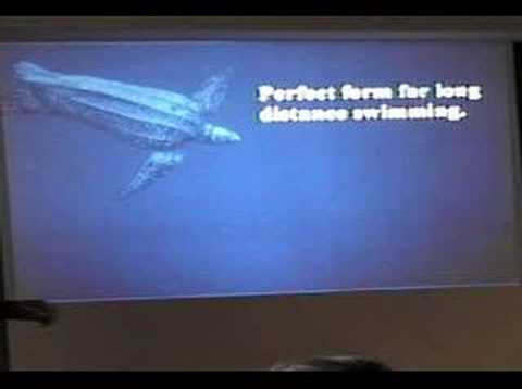 WIDECAST - Leatherback sea turtle 6/10