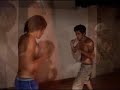 rocky vs pelusa