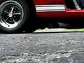 Mustang Running