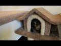 Here's how I moved them into our new home: tinyurl.com