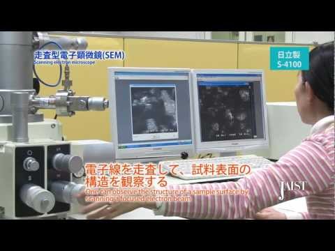 走査型電子顕微鏡・SEM