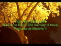 Reforestación