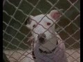 Earthlings - Terraqueos. 2ª Parte