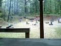 Pistol vs Carbine