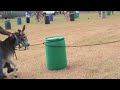 MOV016 MOV016