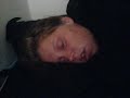Snorkende Stine