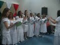 Ele escolheu os cravos