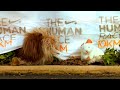 Nike+ Human Race with Dog and Mouse