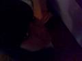 videos de xD
