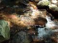 didjeridu shakuhachi clip didjeridu shakuhachi clip