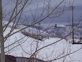 Burandt Backflip