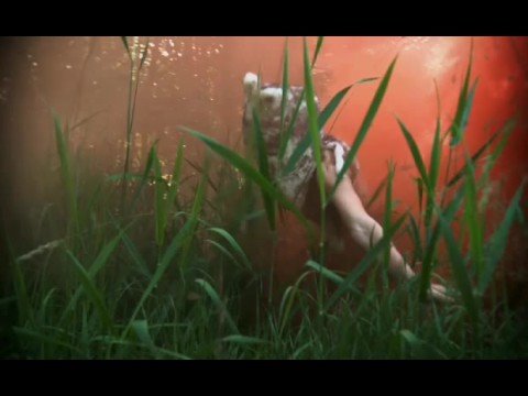 Image de prévisualisation YouTube