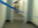Stewie Obstacle Course