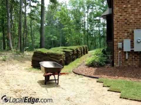 how to grow grass in nh