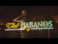 Club Habanos D4D Entertainment