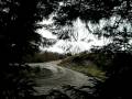 WRC Wales Rally GB 2008 - 05.12.08 - SS3 Myherin 1 - Videos - Francois Duval