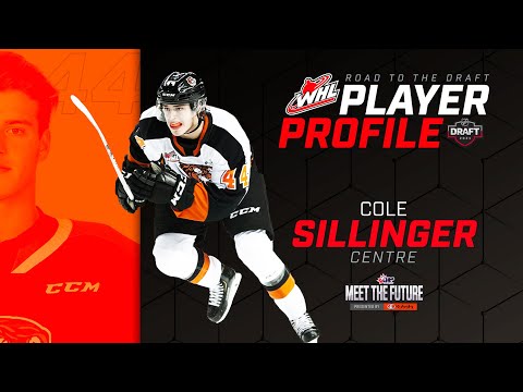 Road To The Draft Player Profile: Cole Sillinger