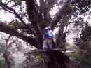 zipline-blues.html