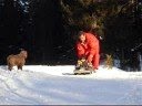 videos de Chute à la neige