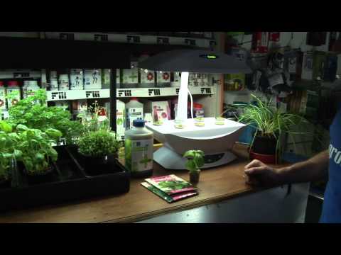 Indoor Gardening: Grow 50 Delectable Edibles In Your Home image