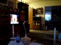 videos de Cassy Singing ... Then Confused.MOV