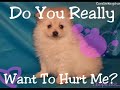 animal cruelty must stop