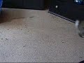 Video anschauen
