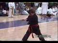 Kelsey Amico - Karate Champ