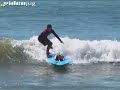 Lord Of Dogtown: Buddy, The Amazing Surfing Dog Lord Of Dogtown: Buddy, The Amazing Surfing Dog
