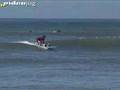 Lord Of Dogtown: Buddy, The Amazing Surfing Dog