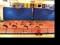 Academy at Chino High Academy at Chino High