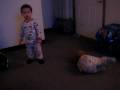 videos de 051