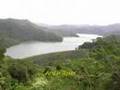 Angat Watershed Reforestation Project (AWaRE)