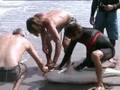 Untamed and Uncut: Spinner Shark Bite