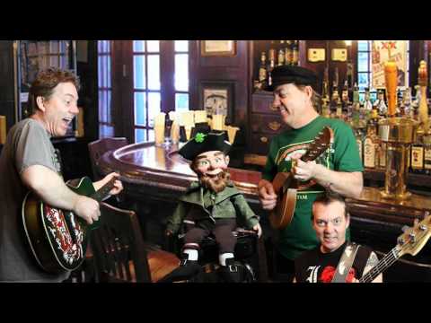 The Leprechaun Song - Brian Haner (Official Video)
