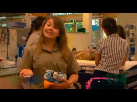 Bindi Irwin