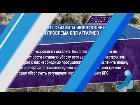 Новостная лента Телеканала Интекс 19.07.24.