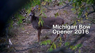 Michigan Bow Opener 2016