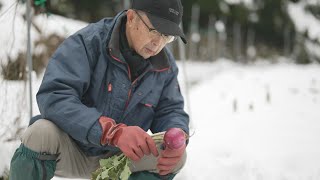 動画のサムネイル
